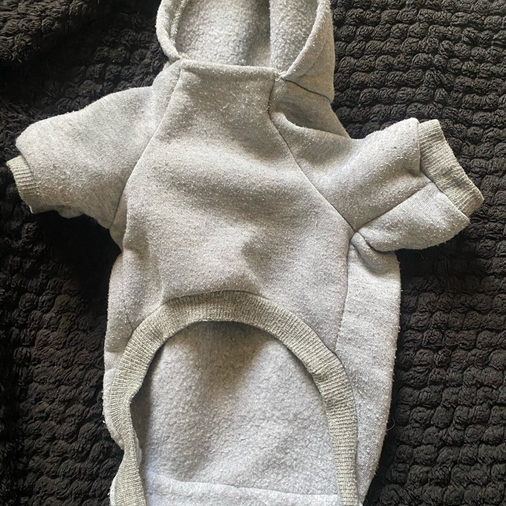 Small pet hoodie